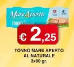 Orsini Market Tonno mare aperto al naturale offerta