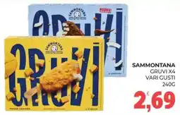 Eté Sammontana Gruvi offerta