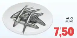 Eté Alici offerta