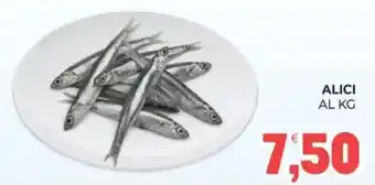 Eté Alici offerta