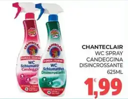 Eté Chanteclair WC spray candeggina disincrostante offerta