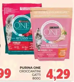 Eté Purina One croccantini gatti offerta