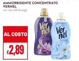 Pan Ammorbidente concentrato Vernel offerta