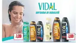 Pan Vidal offerta
