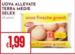 Pan Uova allevate terra medie selex offerta
