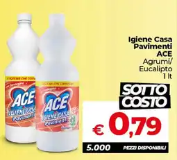 Ipercoop Radenza Igiene Casa Pavimenti ACE Agrumi/Eucalipto offerta