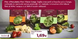 Ipercoop Radenza Fior di Insalata Fior Fiore Coop offerta