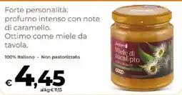 Ipercoop Radenza Miele di eucalipto offerta