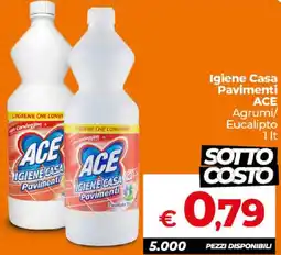 Ipercoop Radenza Igiene Casa Pavimenti ACE offerta