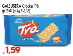 Despar Galbusera Cracker Trà offerta