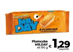 Ipercoop Radenza Plumcake MR.DAY offerta