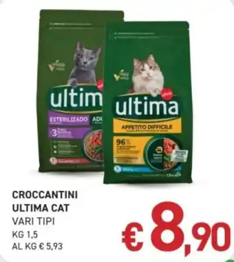 Crocantini Ultima Cat