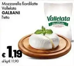 Supermercati Vinci Mozzarella fiordilatte Vallelata Galbani offerta