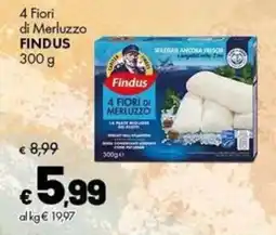 Supermercati Vinci 4 Fiori di Merluzzo Findus offerta