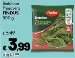 Supermercati Vinci Bietoline Primavera Findus offerta