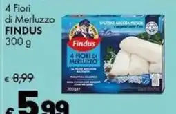 Supermercati Vinci 4 Fiori di Merluzzo Findus offerta