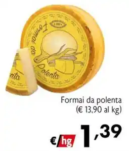 Eurospesa Formai da polenta offerta