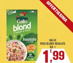 Conté Supermercati Gallo riso blond insalate offerta