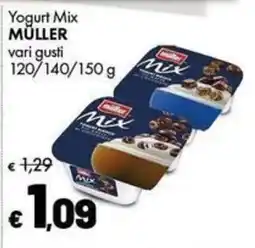 Supermercati Vinci Yogurt Mix MULLER offerta