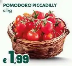 Supermercati Vinci Pomodoro Piccadilly offerta