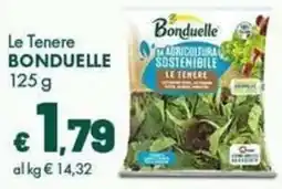 Supermercati Vinci Le Tenere Bonduelle offerta