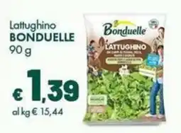 Supermercati Vinci Lattughino Bonduelle offerta