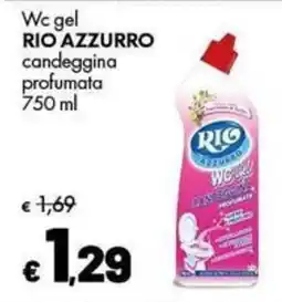 Supermercati Vinci Wc gel Rio Azzurro candeggina profumata offerta