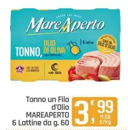 Ottimo Market Tonno un Filo d'Olio MAREAPERTO offerta