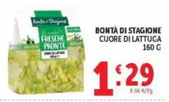Deco Market Bontà di stagione cuore di lattuga offerta