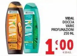 Deco Market Vidal doccia varie profumazioni offerta