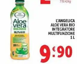 Deco Market L'angelica aloe vera bio offerta