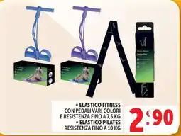 Deco Market Elastico fitness offerta