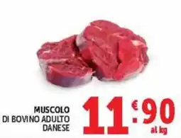 Deco Market Muscolo di bovino adulto danese offerta