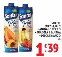 Deco Market Santal Plus offerta