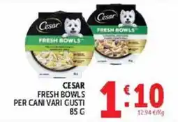 Deco Market Cesar Fresh Bowls per cani vari gusti offerta