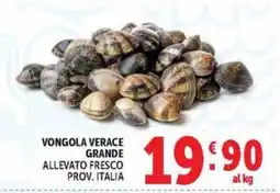 Deco Market Vongola verace grande offerta