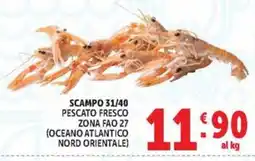 Deco Market Scampo 31/40 offerta