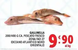 Deco Market Gallinella offerta