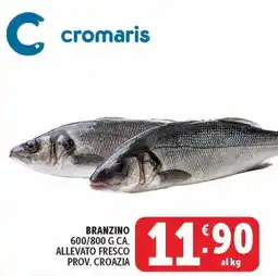 Deco Market Branzino Cromaris offerta