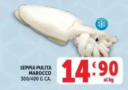 Deco Market Seppia pulita Marocco offerta