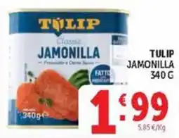 Deco Market Tulip Jamonilla offerta