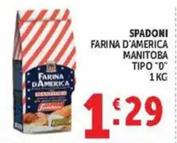 Deco Market Farina d'America Manitoba offerta