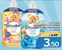 Deter Shop Coccolino ammorbidente concentrato offerta