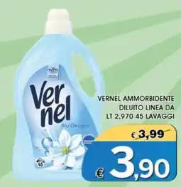 Deter Shop Vernel ammorbidente offerta