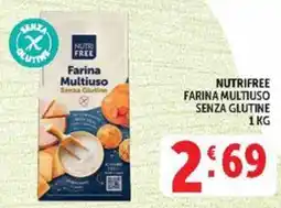 Deco Market Nutri Free Farina Multiuso Senza Glutine offerta