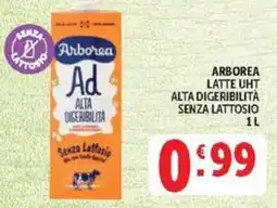 Deco Market Arborea latte UHT senza lattosio offerta