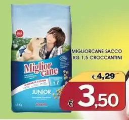 Deter Shop Miglior cane Junior offerta