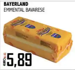 Big Food Bayerland Emmenthal Bavarese offerta