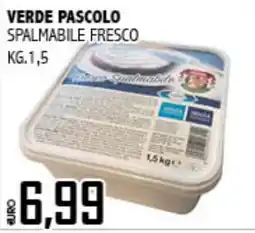 Big Food Verde Pascolo spalmabile fresco offerta