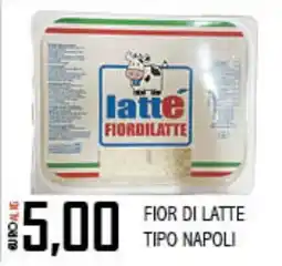 Big Food Fior di latte tipo napoli offerta